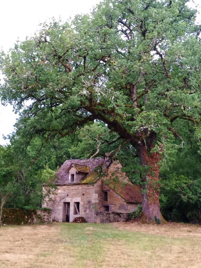 Les Granges De L Abbaye Bed & Breakfast Ginals Dış mekan fotoğraf